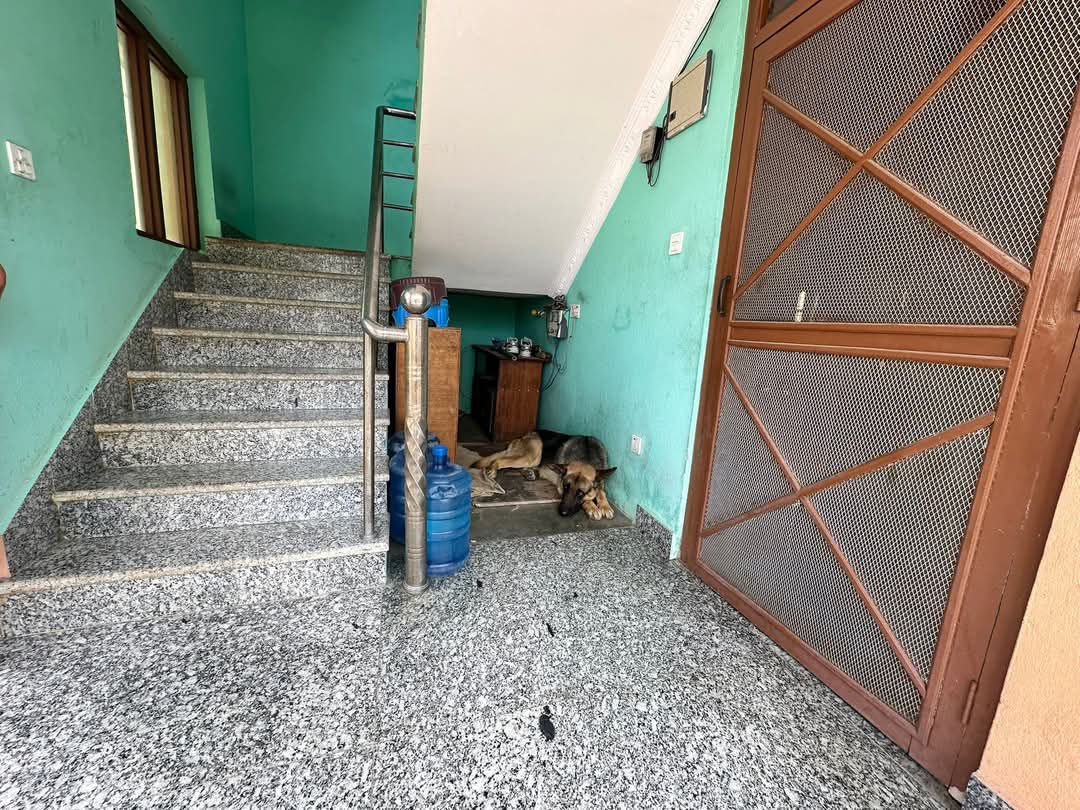 Real Esate Property Nepal